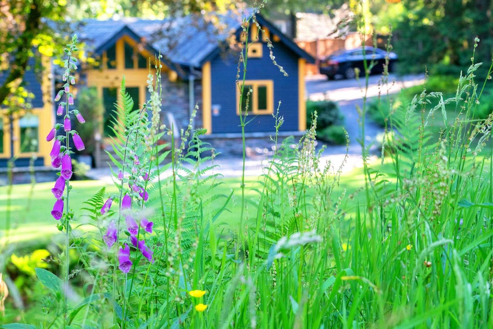 Carr Crag Pavilion Little Langdale المظهر الخارجي الصورة